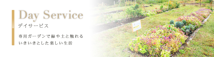 Day Service �f�C�T�[�r�X�@��p�K�[�f���ŗ΂�y�ƐG���